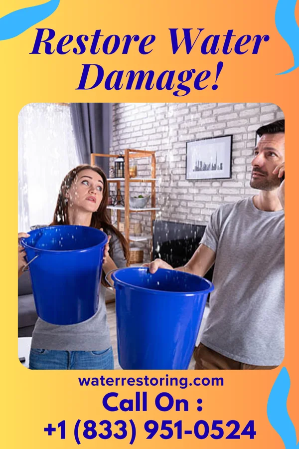 water restoration Vigilant Water Damage Brothers Carencro