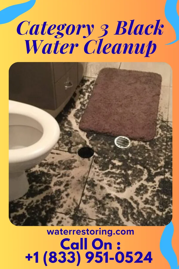 Category 3 Black Water Cleanup in Carencro, LA